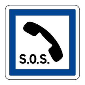 24325