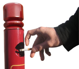 26484